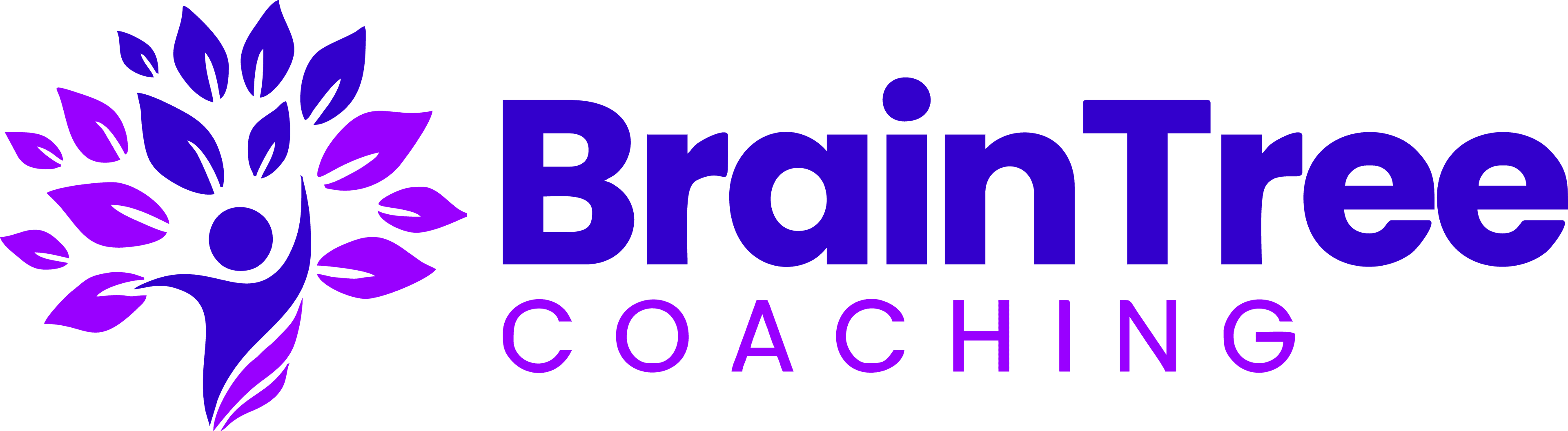 BrainTree Coaching Brand Logo